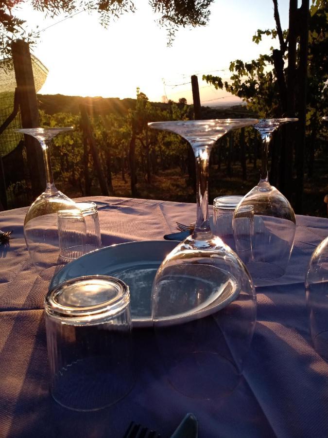 Poggio Agli Ulivi Βίλα Frascati Εξωτερικό φωτογραφία