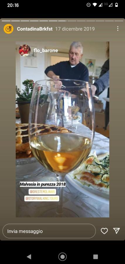 Poggio Agli Ulivi Βίλα Frascati Εξωτερικό φωτογραφία