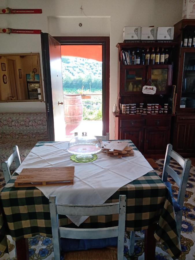 Poggio Agli Ulivi Βίλα Frascati Εξωτερικό φωτογραφία