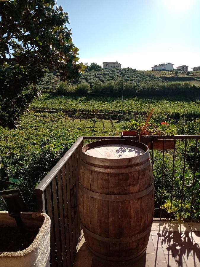 Poggio Agli Ulivi Βίλα Frascati Εξωτερικό φωτογραφία