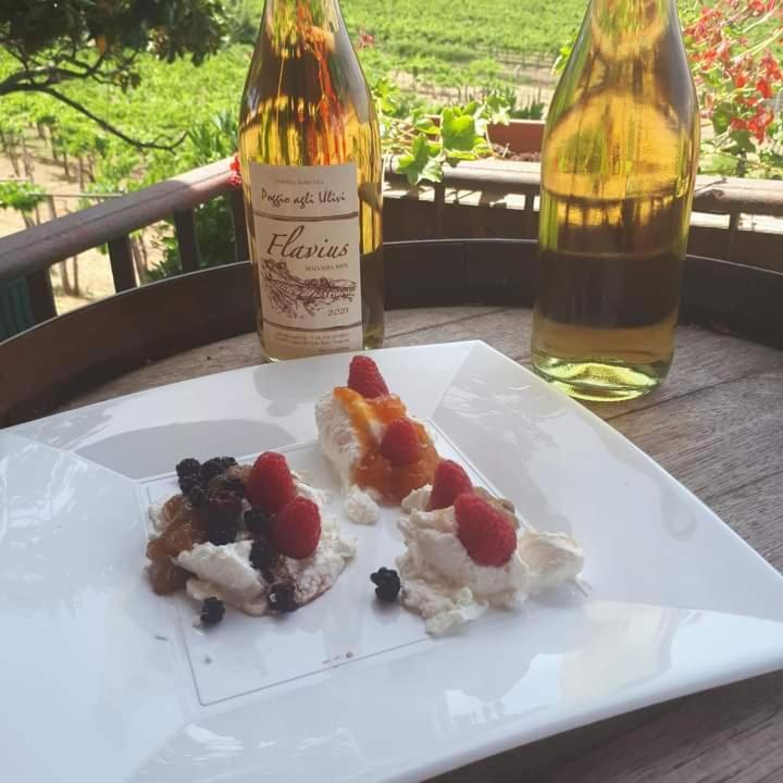 Poggio Agli Ulivi Βίλα Frascati Εξωτερικό φωτογραφία