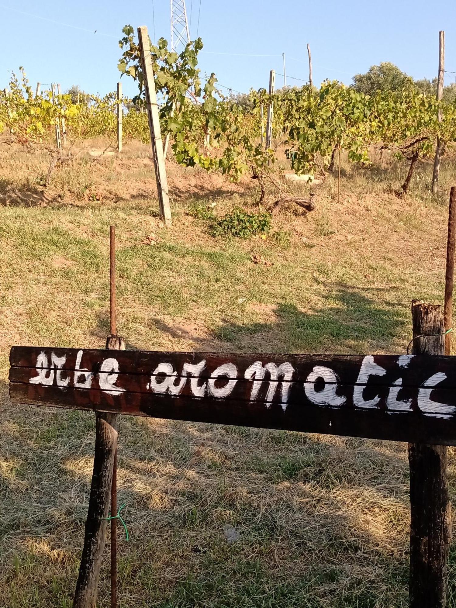 Poggio Agli Ulivi Βίλα Frascati Εξωτερικό φωτογραφία