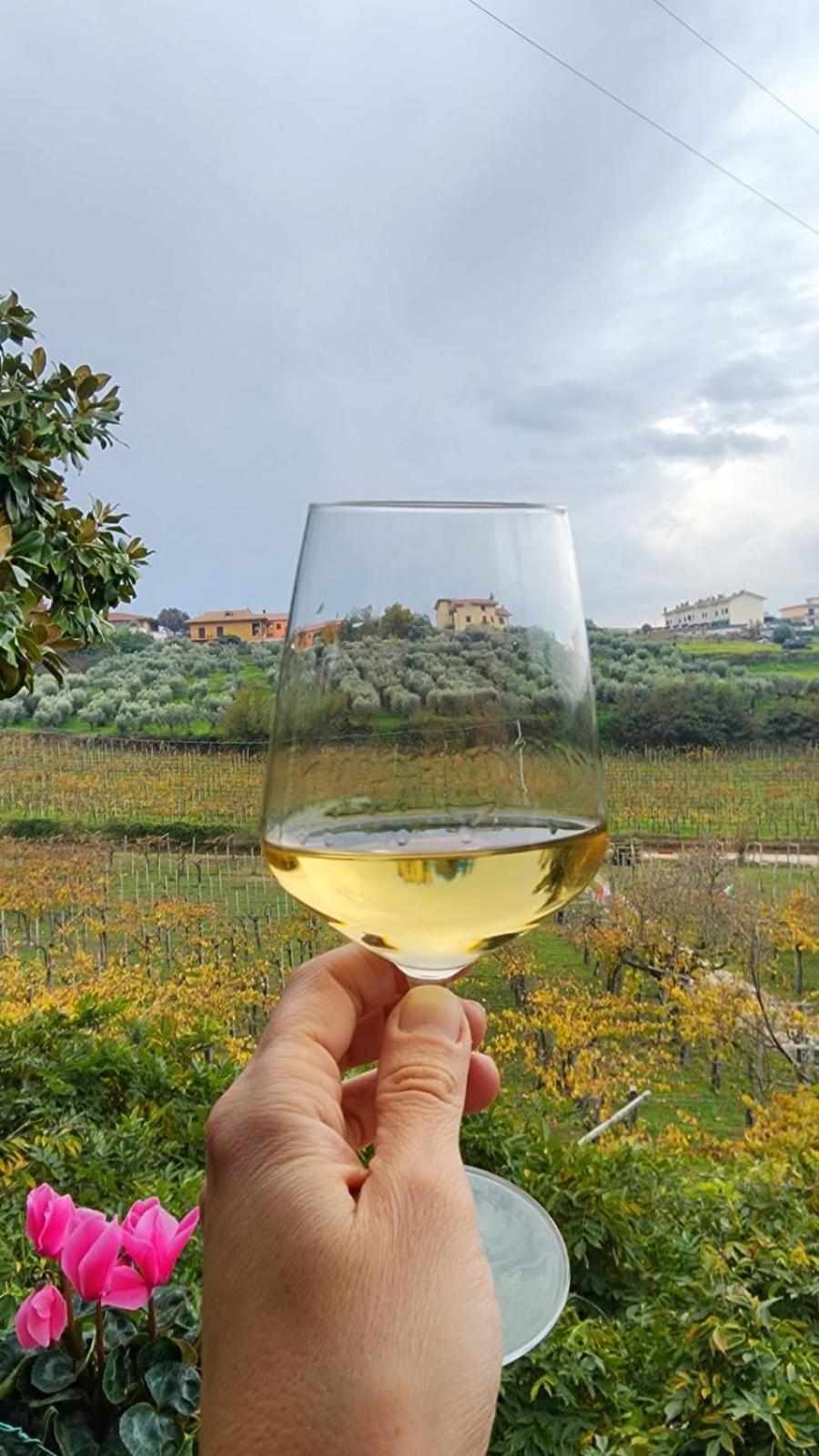 Poggio Agli Ulivi Βίλα Frascati Εξωτερικό φωτογραφία